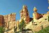 Bryce