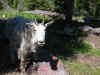Mountain goat at Sperry Chalet Goat at Sperry Chalet