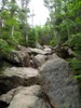 Steep, rocky trail